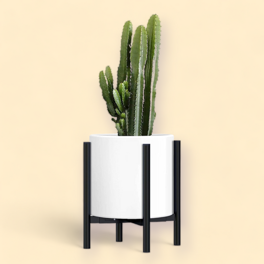 Black Plant Stand for Your Indoor Houseplants
