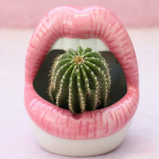 Sexy Lady Lips Ceramic Planter